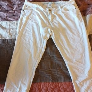 women's pants